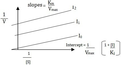 uncompetitive inhibition representation